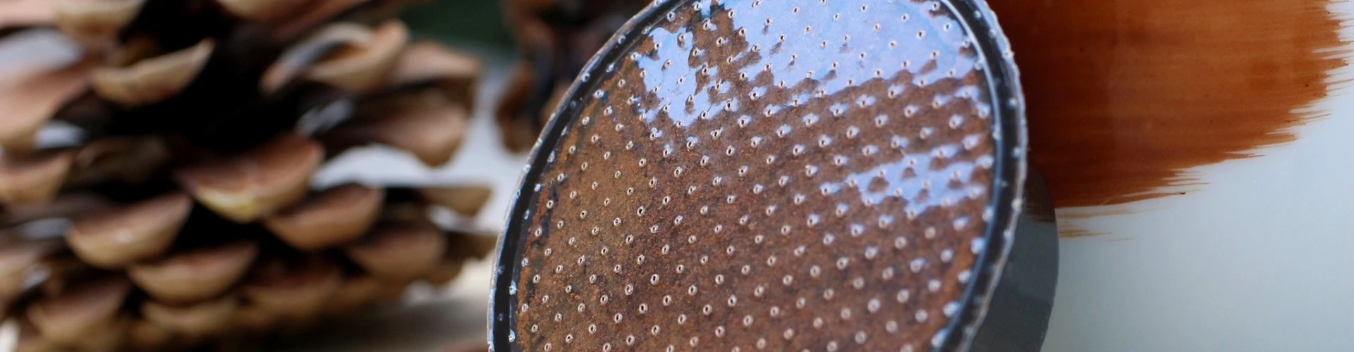 309709629-455492509976506-4905572416337543724-n